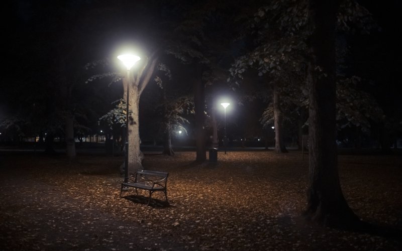 /assets/img/mostphotos/43465849-bench-in-park-at-evening.jpg