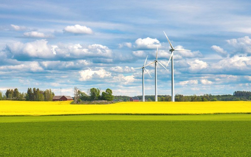 /assets/img/three-wind-turbines-in-a-yellow-rapeseed-field.jpg