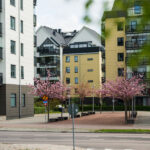 Lägenheter i Sverige. Foto: Trygve Finkelsen/Mostphotos