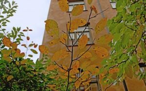 Foto: Ingegerd Sundlöf, Mostphotos.