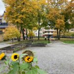 Parken i kvarteret Krubban på Östermalm. Foto: Linda Myrin