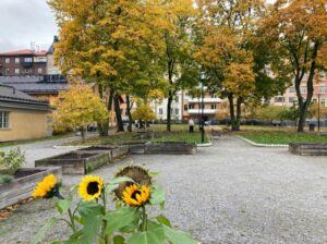 Parken i kvarteret Krubban på Östermalm. Foto: Linda Myrin