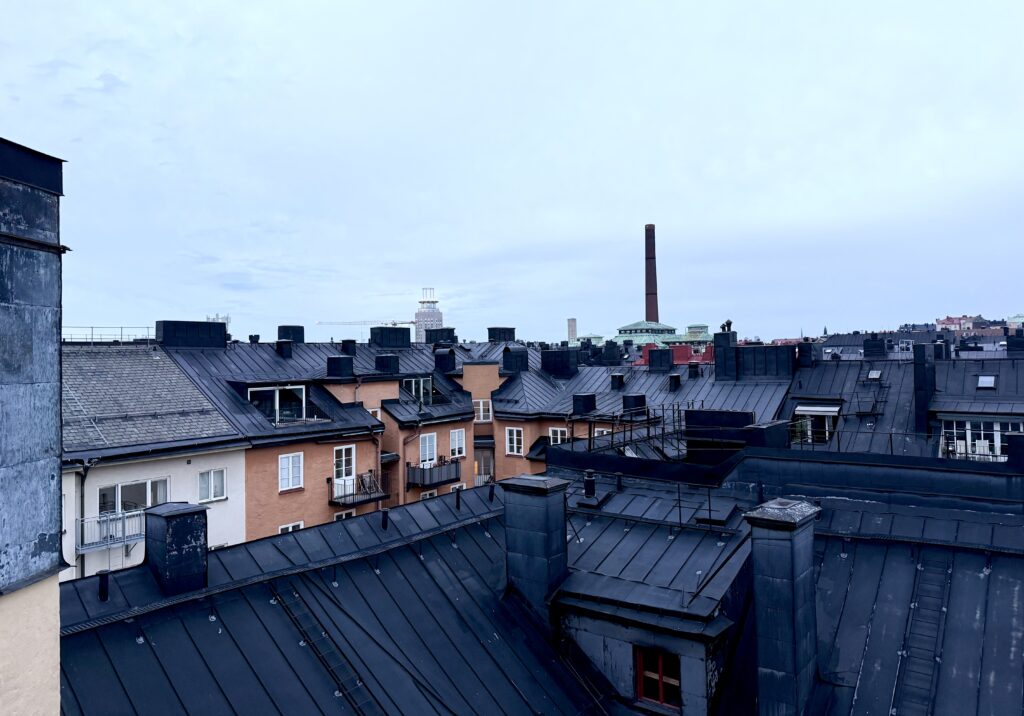 Takåsar Södermalm Stockholm. Foto: Linda Myrin