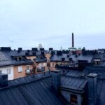 Takåsar Södermalm Stockholm. Foto: Linda Myrin