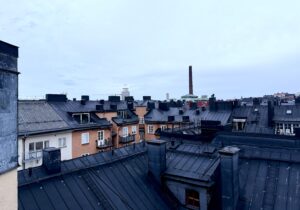 Takåsar Södermalm Stockholm. Foto: Linda Myrin